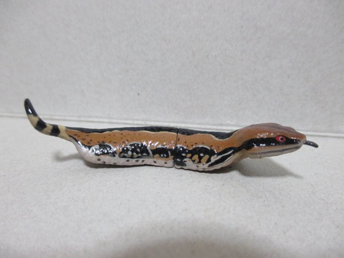 チョコQ　animaltales 第8弾 ノーマル21種＋SC３種＋SP1種 チョコQ animaltales 第8弾 ノーマル21種＋SC3種＋SP1種